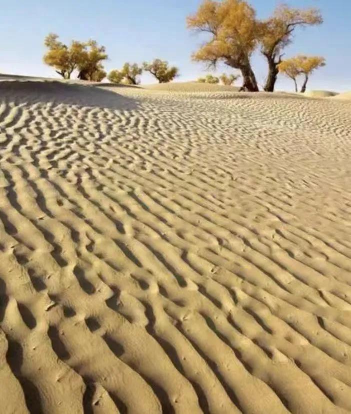 全球十大诡异禁区_神秘禁区探索_欧洲无人区免费正片在哪里看